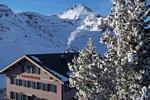 Grindelwald/Wengen