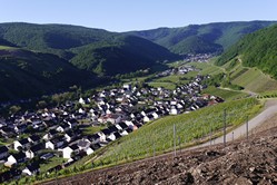 Radtour Bonn-Mosel-Koblenz 2017: Abfahrt nach Dernau