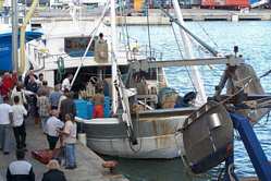 Denia - Am Fischereihafen