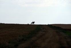 Reiter bei Buno Bonnevaux