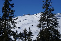 Flims Laax Falera