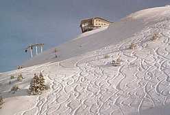 Zwlferkogel von der Zwlferkogel-Nordabfahrt