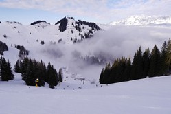 Ski Amad - Wolken ber Grafenberg